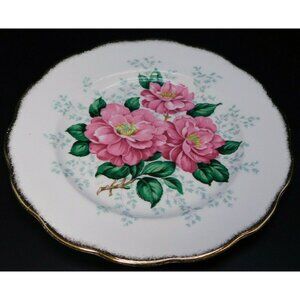 Queen Anne Camellia Bone China Lunch Plate Gold Trim Vintage England